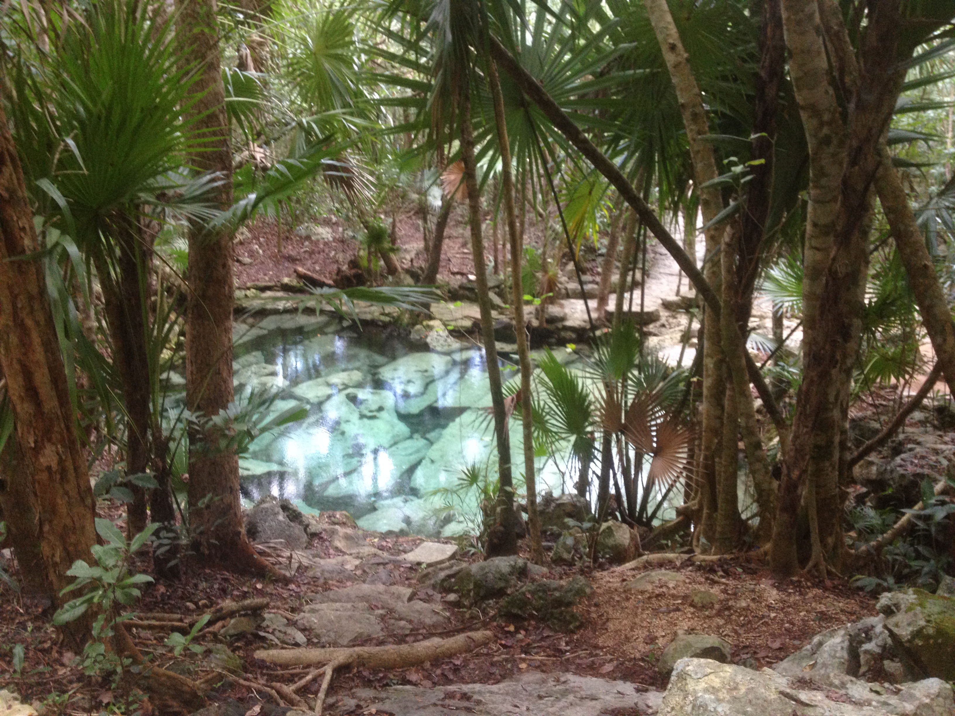 Cenote Azul na Riviera Maya