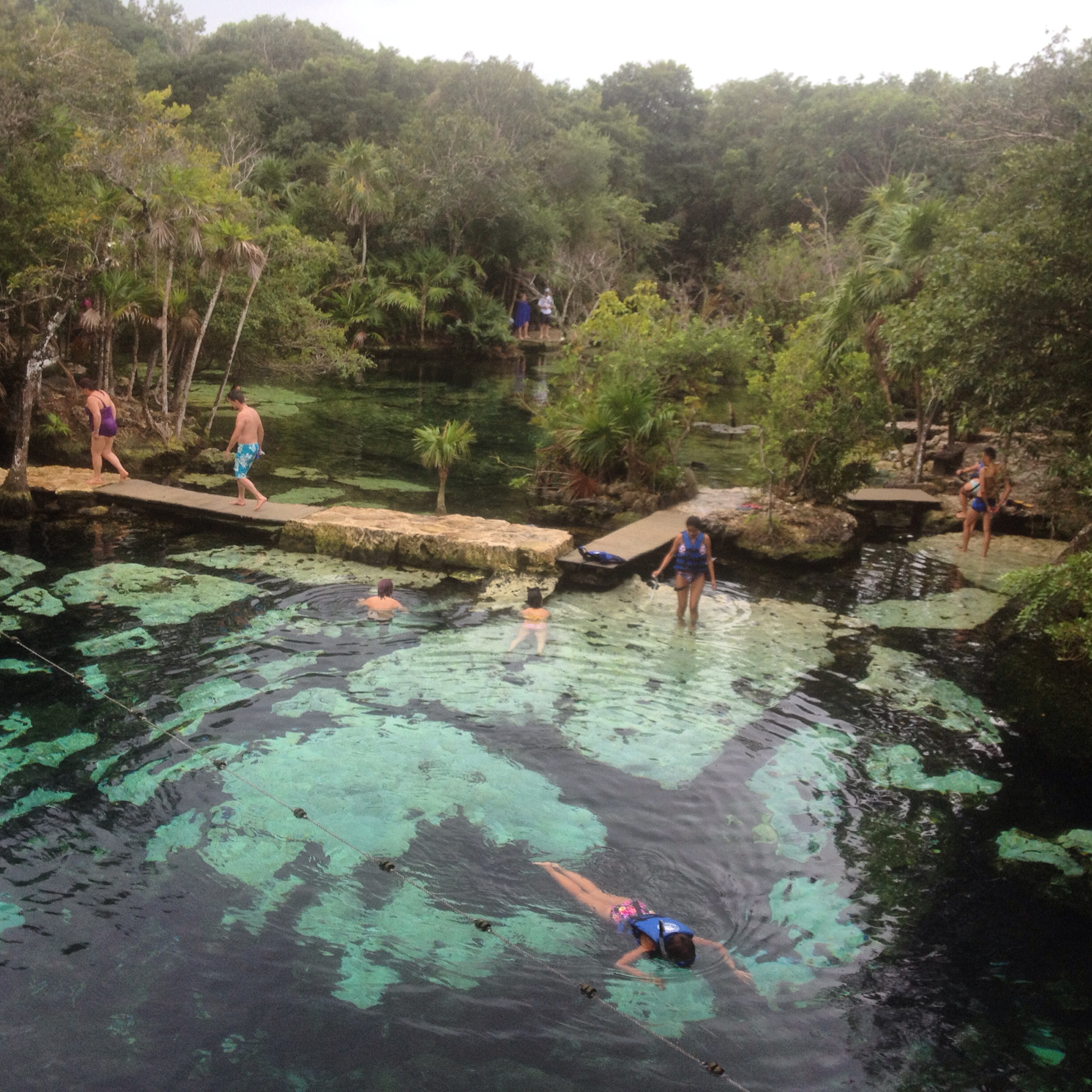 Como conhecer o Cenote Azul na Riviera Maya